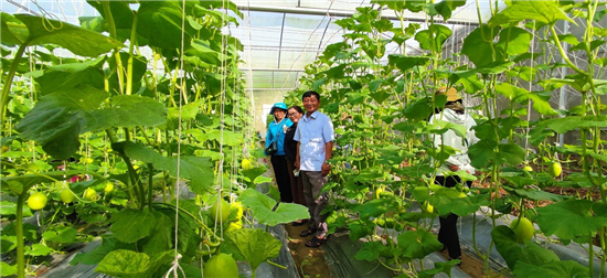 Trung tâm Khuyến nông tỉnh Trà Vinh tập huấn “Ứng dụng công nghệ cao trong sản xuất nông nghiệp” cho nông dân huyện Châu Thành
